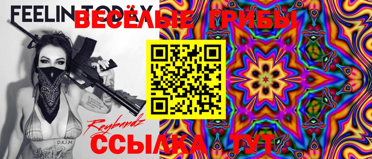 Галлюциногенные грибы GOLDEN TEACHER  Вход с VPN  Сафоново  Псилоцибиновые грибы Psilocybe 